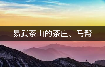 易武茶山的茶莊、馬幫