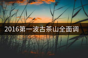 2016第一波古茶山全面調(diào)研第四站——臨滄·大雪山、小戶(hù)賽