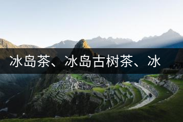 冰島茶、冰島古樹茶、冰島茶區(qū)茶、冰島茶區(qū)古樹茶