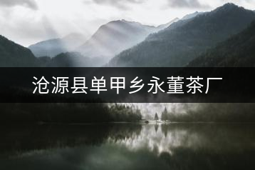 滄源縣單甲鄉(xiāng)永董茶廠