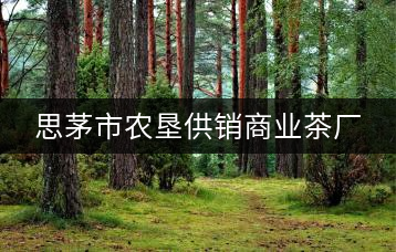 思茅市農(nóng)墾供銷(xiāo)商業(yè)茶廠