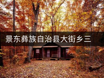 景東彝族自治縣大街鄉(xiāng)三營茶廠