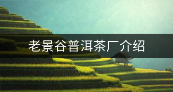 老景谷普洱茶廠介紹