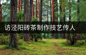 訪涇陽磚茶制作技藝傳人、陜西省非遺傳承人賈根社