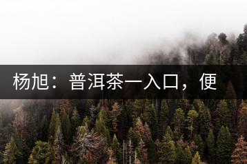 楊旭：普洱茶一入口，便知產(chǎn)地和年份