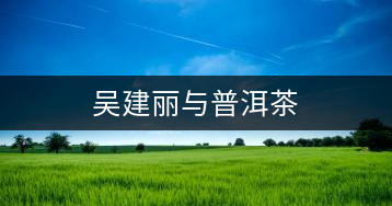 吳建麗與普洱茶