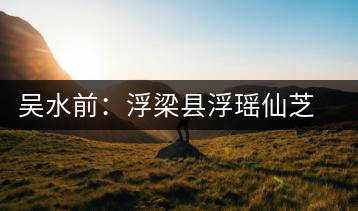 吳水前：浮梁縣浮瑤仙芝茶業(yè)有限公司董事長(zhǎng)