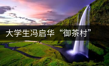 大學(xué)生馮啟華“御茶村”茶園放飛創(chuàng)業(yè)夢(mèng)想