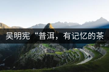 吳明憲“普洱，有記憶的茶品”