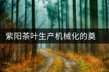 紫陽茶葉生產(chǎn)機(jī)械化的奠基人