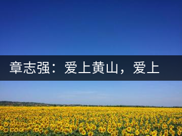 章志強(qiáng)：愛上黃山，愛上黃山的茶