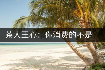 茶人王心：你消費(fèi)的不是茶，是我