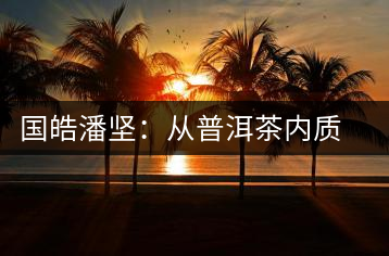 國皓潘堅：從普洱茶內質看茶的好壞