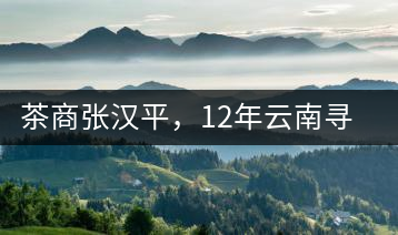 茶商張漢平，12年云南尋茶路