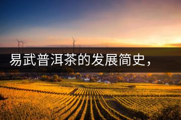 易武普洱茶的發(fā)展簡史，昔日的貢茶如今依然輝煌