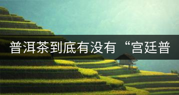 普洱茶到底有沒有“宮廷普洱”一說？它到底是什么？