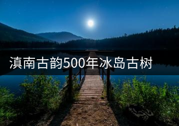 滇南古韻500年冰島古樹生茶官方評測