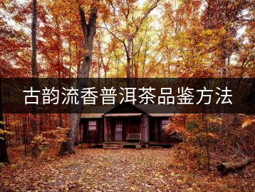 古韻流香普洱茶品鑒方法