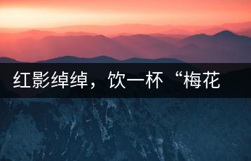 紅影綽綽，飲一杯“梅花”醉