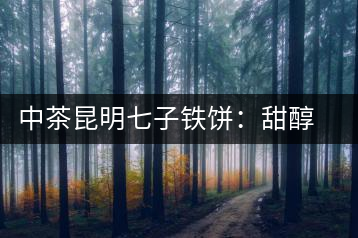 中茶昆明七子鐵餅：甜醇甘潤，陳韻綿長