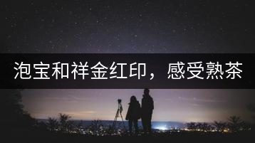 泡寶和祥金紅印，感受熟茶之美。