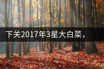 下關(guān)2017年3星大白菜，好茶從未中斷