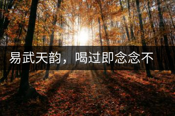 易武天韻，喝過(guò)即念念不忘的茶中皇后