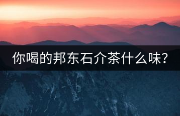 你喝的邦東石介茶什么味？