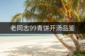 老同志99青餅開湯品鑒