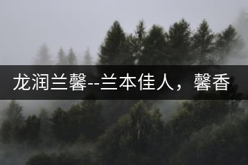 龍潤蘭馨–蘭本佳人，馨香高雅