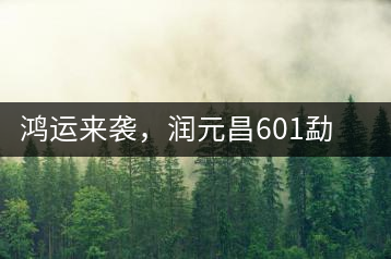 鴻運來襲,潤元昌601勐海紅韻熟茶即將上市