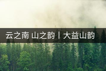 云之南 山之韻丨大益山韻，“韻”味傳奇之山韻歸來