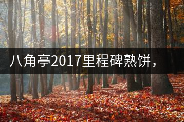 八角亭2017里程碑熟餅，自先發(fā)酵而后愛(ài)人