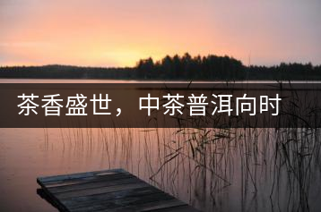 茶香盛世，中茶普洱向時(shí)代獻(xiàn)禮