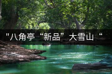 “八角亭“新品”大雪山“即將上市，期待您的品茗！