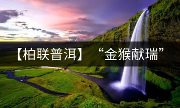 【柏聯(lián)普洱】“金猴獻(xiàn)瑞”限量2016片獻(xiàn)禮農(nóng)歷猴年