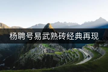 楊聘號(hào)易武熟磚經(jīng)典再現(xiàn)