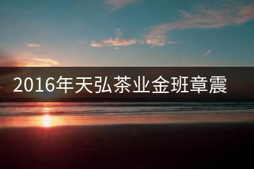 2016年天弘茶業(yè)金班章震撼上市！