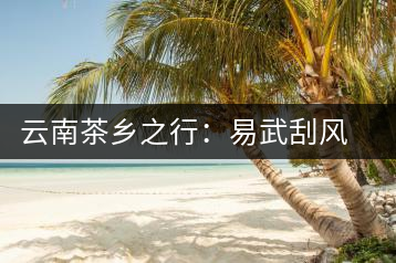 云南茶鄉(xiāng)之行：易武刮風(fēng)寨
