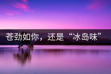 蒼勁如你，還是“冰島味”嗎？