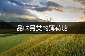 品味另類的薄荷塘