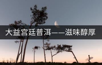 大益宮廷普洱——滋味醇厚，陳香濃郁