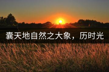 囊天地自然之大象，歷時光十載流轉(zhuǎn)-皇茶一號