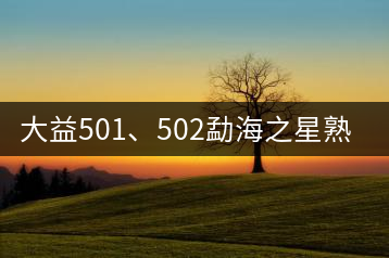 大益501、502勐海之星熟茶