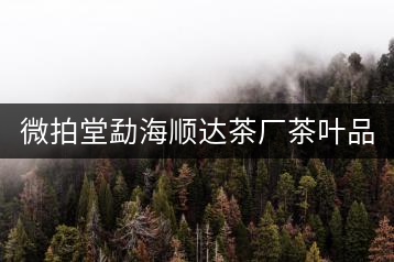 微拍堂勐海順達茶廠茶葉品質如何？