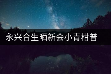 永興合生曬新會小青柑普洱茶橘普桔普熟茶陳皮柑普茶葉宮廷五粒裝
