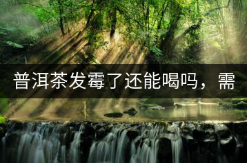 普洱茶發(fā)霉了還能喝嗎，需要怎么處理？