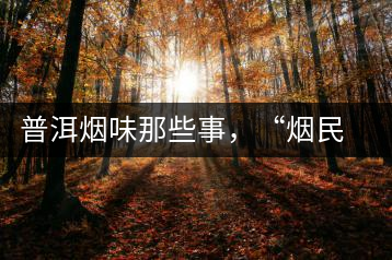 普洱煙味那些事，“煙民”不怕當(dāng)