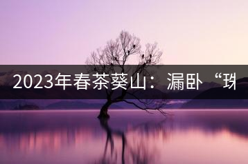 2023年春茶葵山：漏臥“珠江紅：1200元-3200元（有3個檔次）漏臥“大廠茶”：古樹單株8600-9000元／公斤，中樹4800-5200元／公斤，小樹混采2600-2800元／公斤。