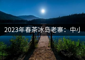 2023年春茶冰島老寨：中小樹(shù)混采2500-3000元／公斤，大樹(shù)：7000-8000元／公斤，古樹(shù)混采：28000-36000元／公斤